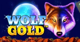 بازی کازینو اسلات wolf gold